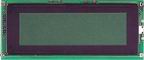 GRAPHIC LCD MODULE